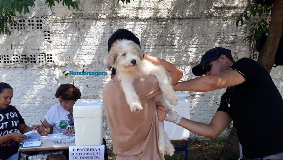 Semusa vacinou cães e gatos até às 17 horas em Porto Velho