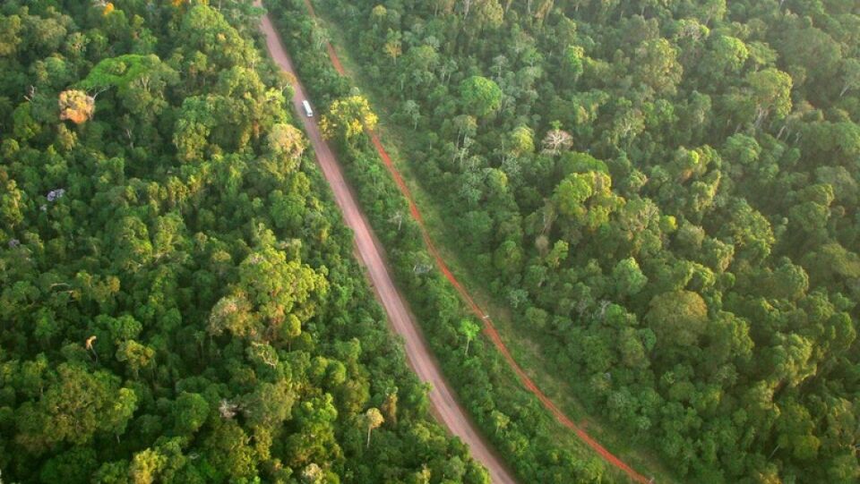 Sustentabilidade é o carro-chefe da produção, mas depende de lucro
