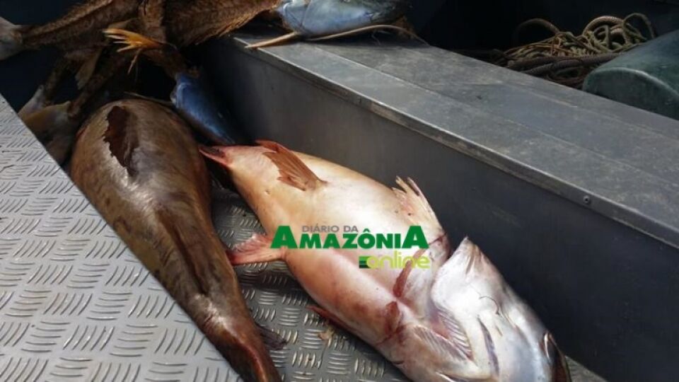 VÍDEO: TRIO É PRESO APÓS INTENSA FUGA DE VOADEIRA NO RIO MADEIRA