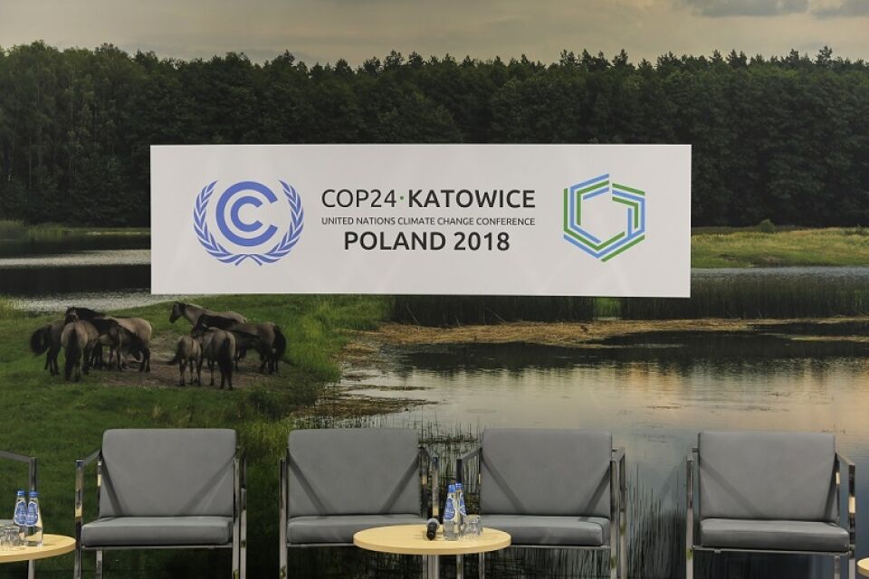 Países ‘petroleiros’ tentam impedir apoio a relatório do IPCC