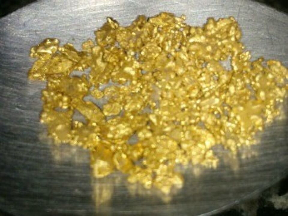 A corrida pelo ouro retorna com força total