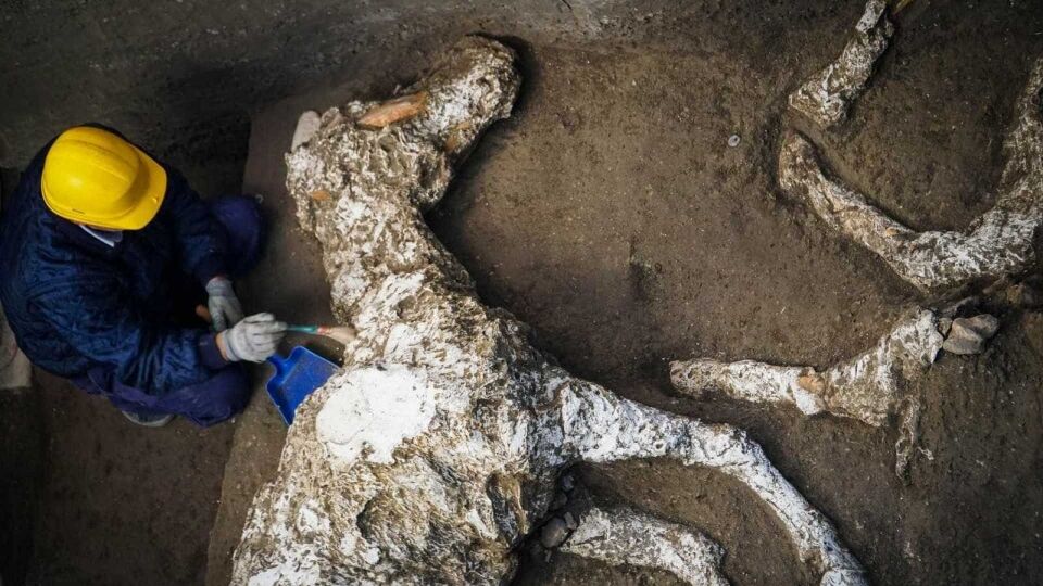 Pesquisadores encontram cavalos petrificados em estábulo milenar