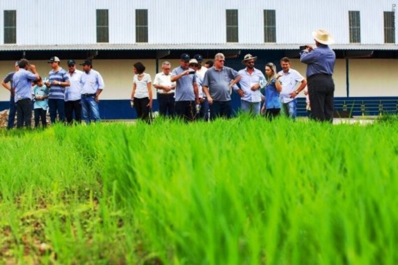 Missão Pró Grãos busca em Rondônia técnicas para implantar agronegócio forte no Acre