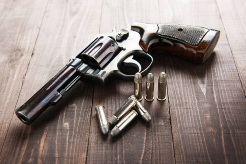 Estudo usado como referência em decreto diz que armas pioram violência