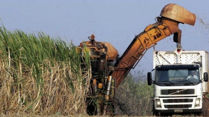 Justiça derruba acordo que proibia terceirização em usinas de cana