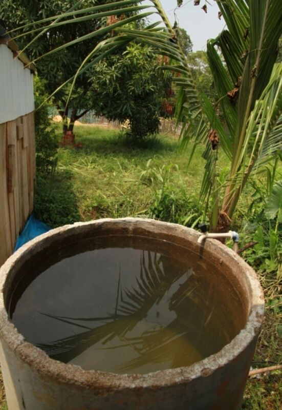 Agevisa alerta sobre cuidados para evitar criadouros do mosquito da Dengue no período chuvoso