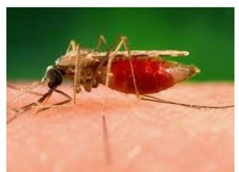 Malária se alastra em Porto Velho, aumenta em 21% entre 2017 e 2018 e complica ainda mais atendimento na saúde