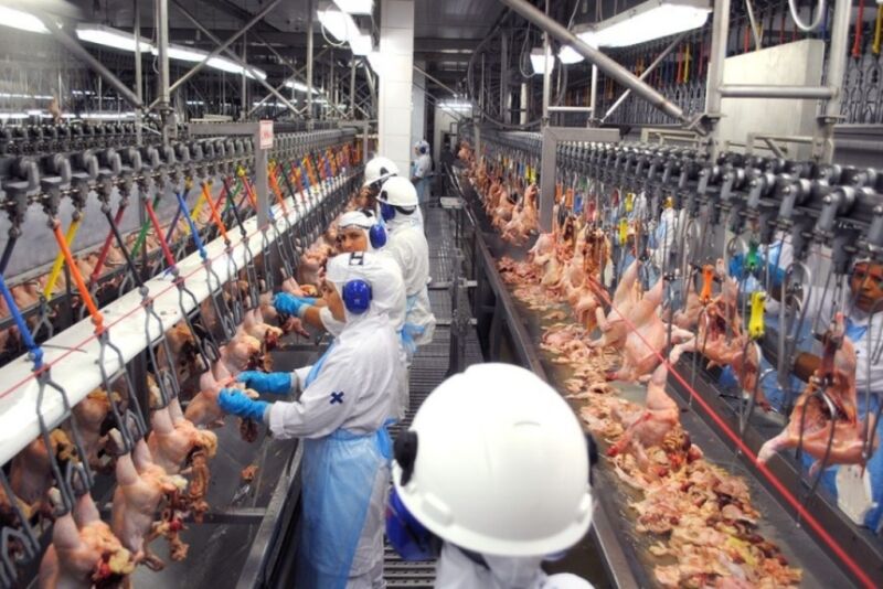 Arábia Saudita suspende compra de carne de frango de cinco frigoríficos do Brasil