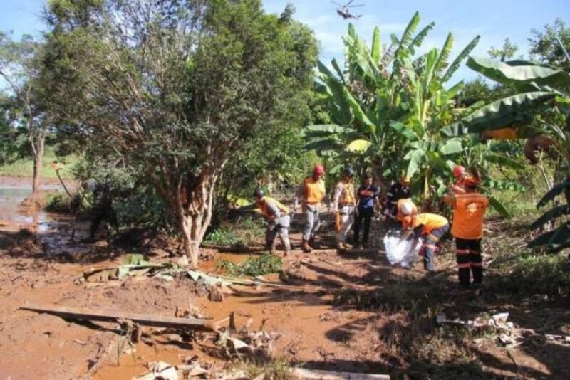 'Nos guiamos pelo cheiro dos corpos', relata brigadista em Brumadinho