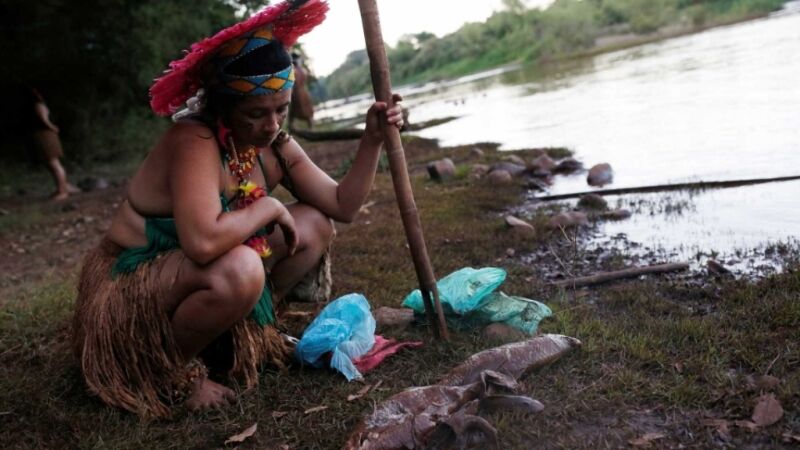 'Não consigo dormir', diz ambientalista que votou contra barragem