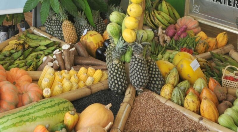 Produtor rural pode se cadastrar para vender alimentos à merenda escolar