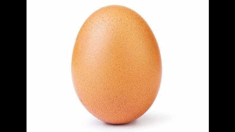 Foto do ovo que viralizou faz parte de campanha em prol da saúde mental