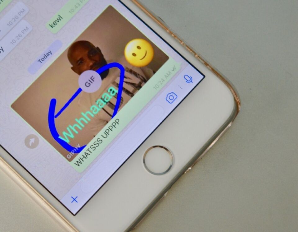 Como fazer GIF no WhatsApp de forma fácil pelo Android e iPhone