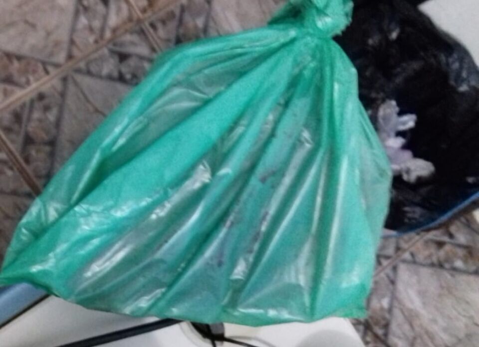 Homem mata irmão com pedradas na cabeça após briga por parabólica, em RO