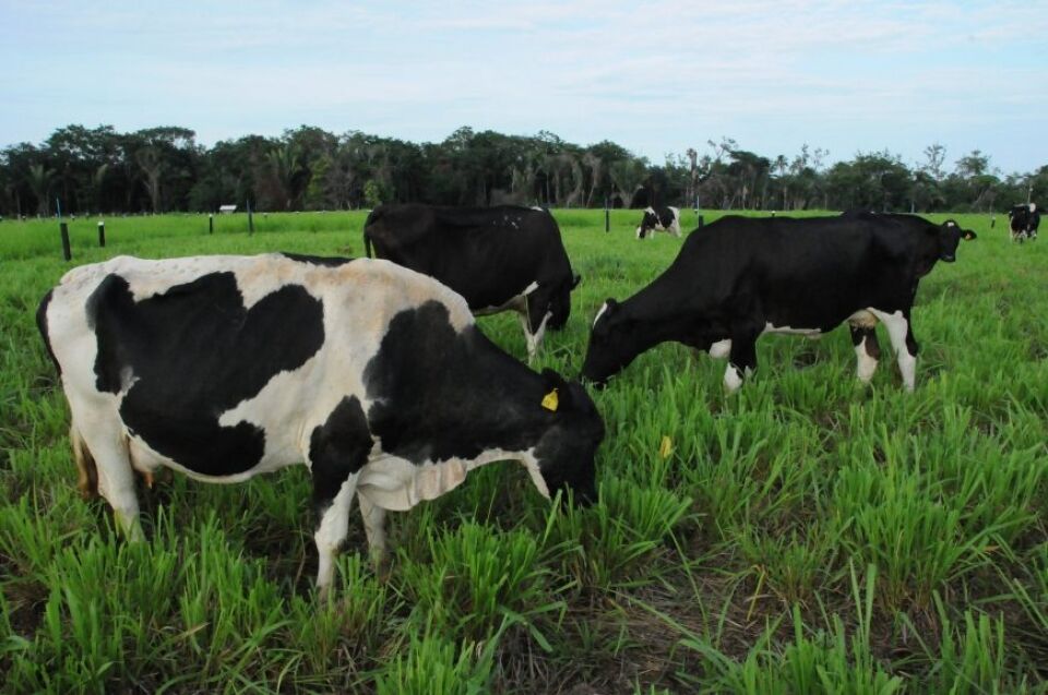 Governos de Rondônia e Acre firmam protocolo para desenvolver o setor produtivo