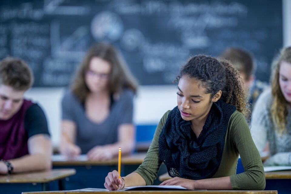 Para tratar dos problemas da escola, um bom diagnóstico é tudo
