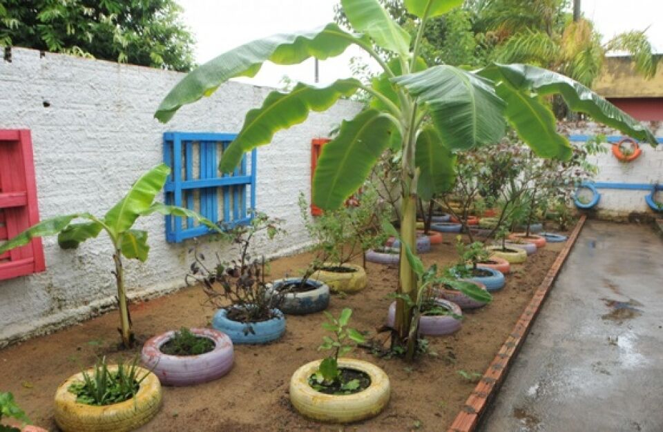 Escola recebe projeto de horta orgânica