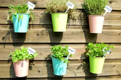 Como ter uma horta em apartamento pequeno
