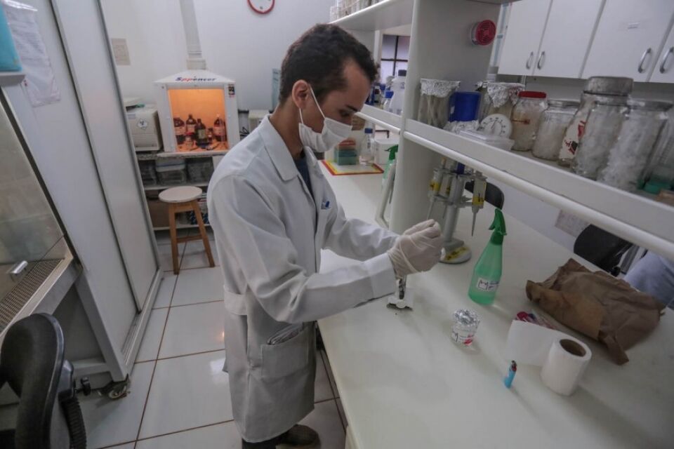 Pesquisas epidemiológicas destacam Rondônia em cenário nacional; Instituto se desenvolve com fomento da Fapero e CNPq