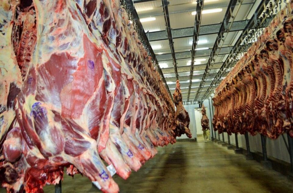 Volume exportado por Rondônia neste ano é de 212,2 milhões de toneladas, carne e soja são destaques