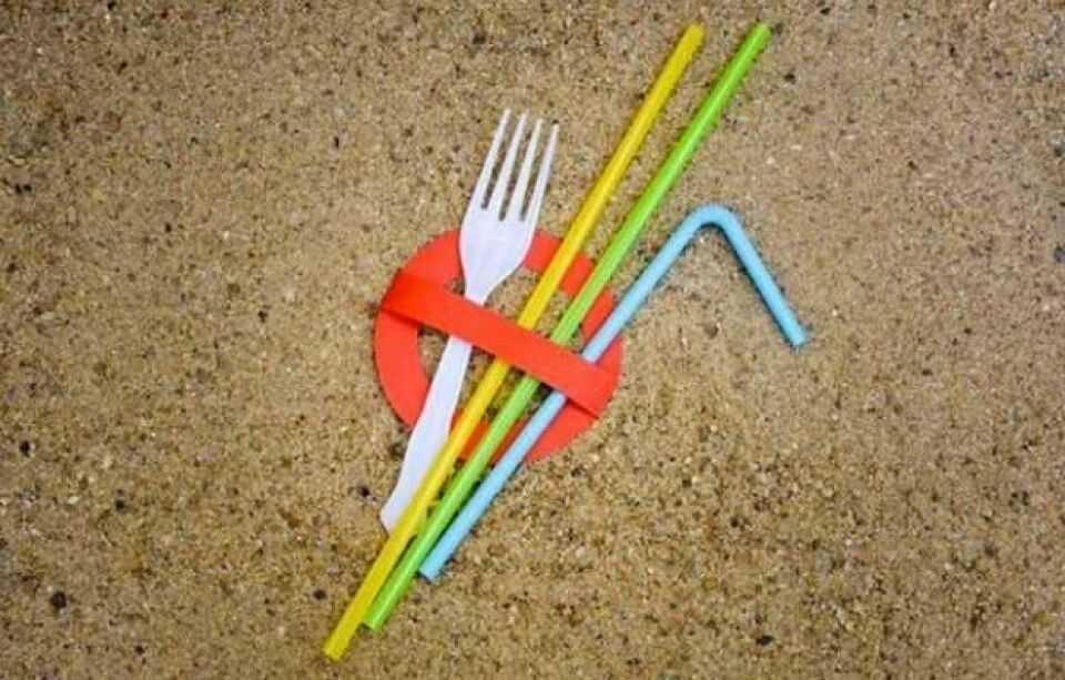 É DEFINITIVO: EUROPA CONFIRMA A PROIBIÇÃO DO PLÁSTICO DESCARTÁVEL A PARTIR DE 2021