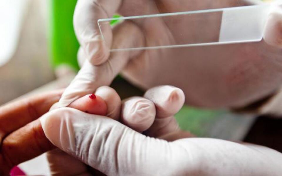 Pesquisa avança no controle da malária da arbovirose