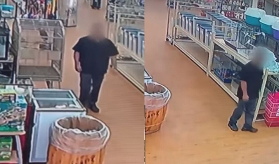 Ladrão rouba cobra de 1,5m e esconde dentro das calças