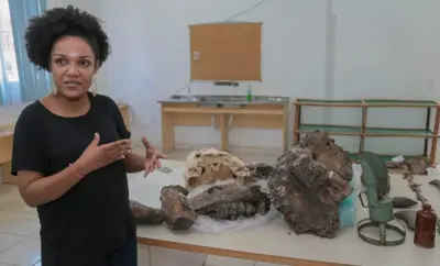 Museu da Memória conclui catalogação de 250 fósseis com idade até 29 mil anos e está aberto para visitação