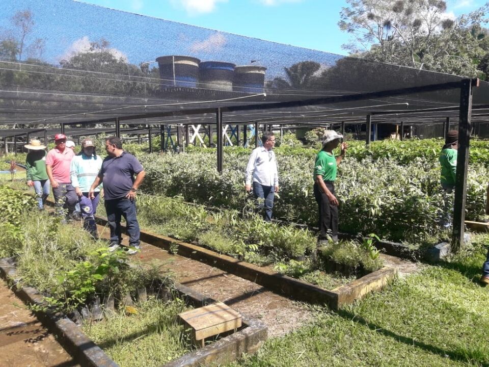 Servidores fazem capacitação em produção de mudas nativas