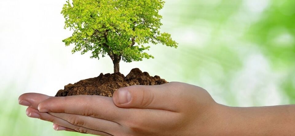 MP manda incluir ribeirinhos e extrativistas em estudo ambiental