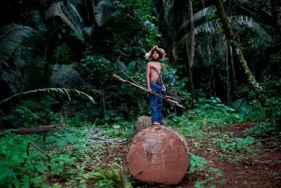 Grileiros invadem novamente reserva indígena Uru Eu Wau Wau em Rondônia
