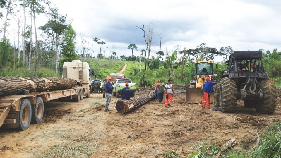 Sedam doa madeiras para reconstrução de pontes atingidas pela barragem em Machadinho do Oeste