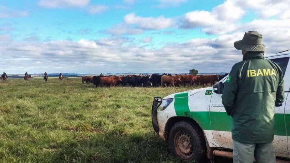 Bolsonaro desautoriza ação do Ibama contra madeireiras