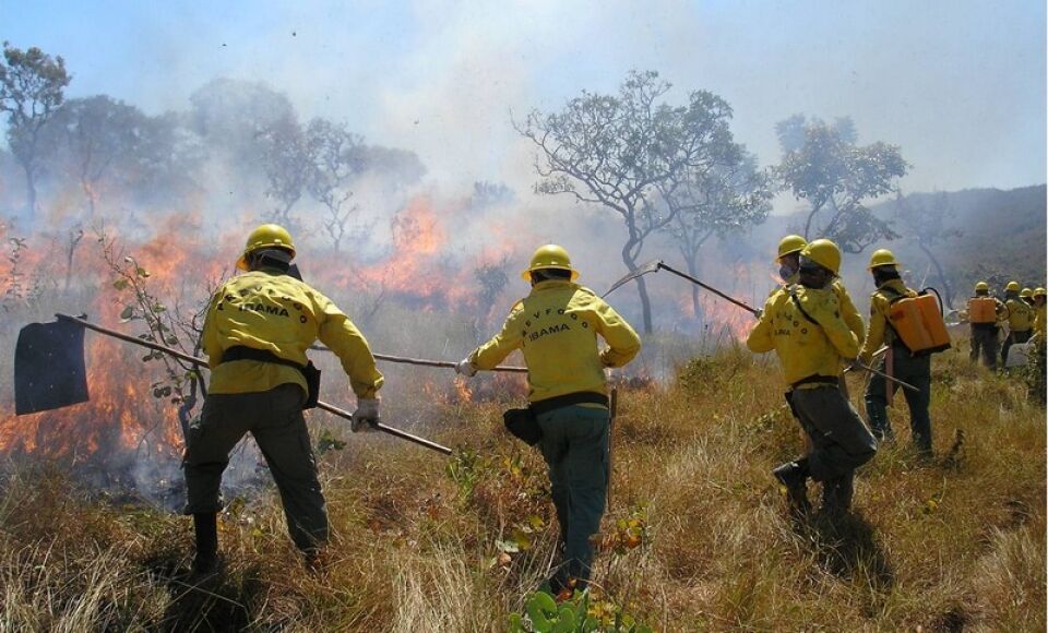 Rondoniense desconhecido no estado e poderoso no Ibama nacional é quem manda queimar e destruir equipamentos durante operações ambientais