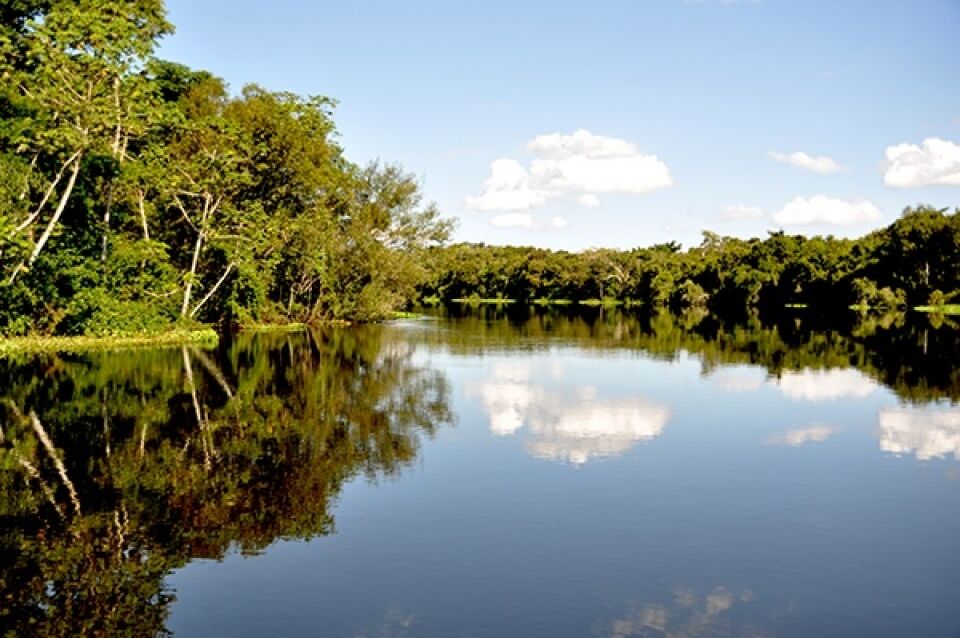 Atrações turísticas de RO Parque Estadual Corumbiara