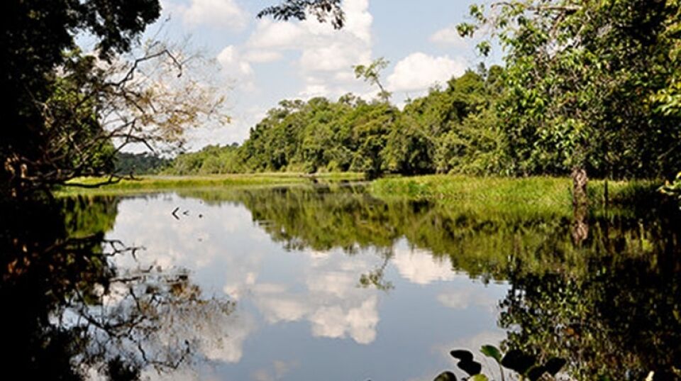 Decisão judicial reintegra o Incra na posse da reserva florestal do PA Margarida Alves