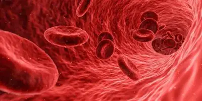 Sintomas da anemia: 11 sinais claros que não devem ser subestimados