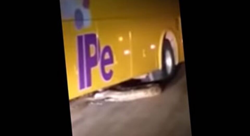 ‘Fico assustado com a crueldade do motorista’, diz padre Fábio de Melo sobre atropelamento de cobra em Rondônia