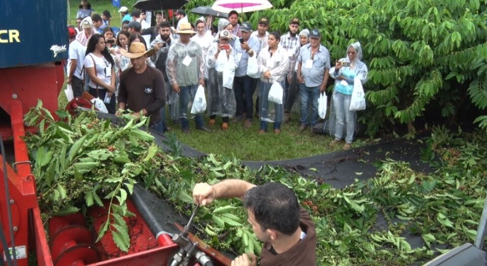 Produtores de Porto Velho participam do Dia de Campo do Café Clonal