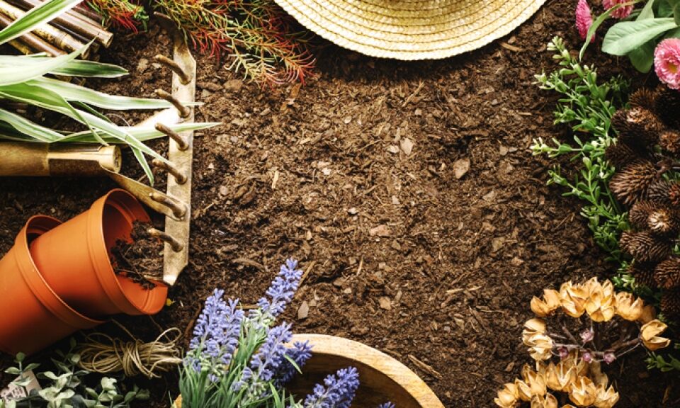 Praça CEU oferece curso de Jardinagem e Horticultura
