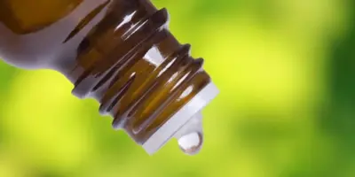 Tudo sobre o óleo de copaíba: para que serve, beneficios, contraindicações