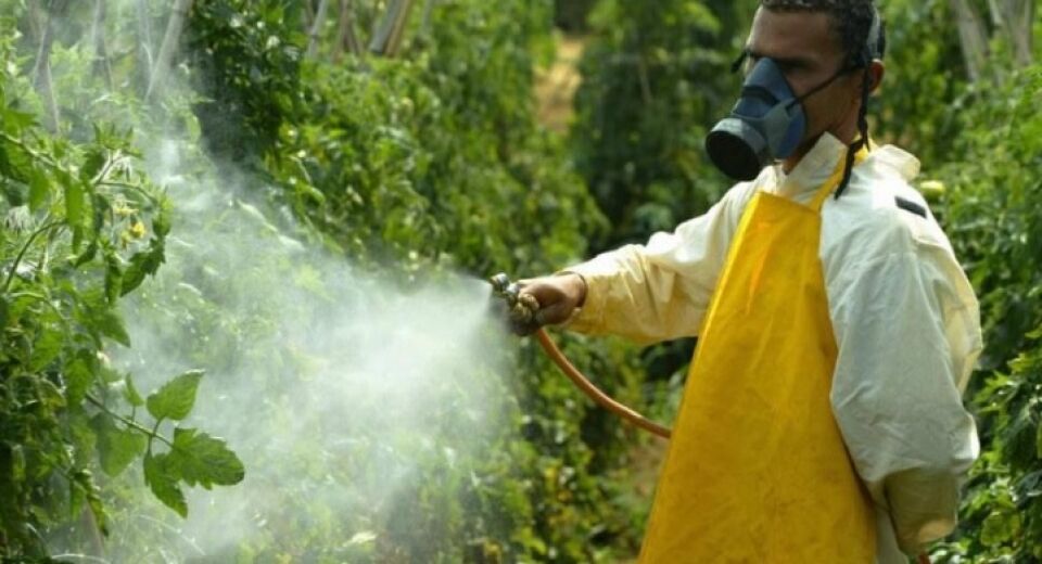 Mais de 15 mil pessoas se intoxicaram com veneno agrícola em 2018