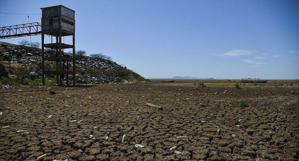 Sem floresta, sem chuvas, sem produção