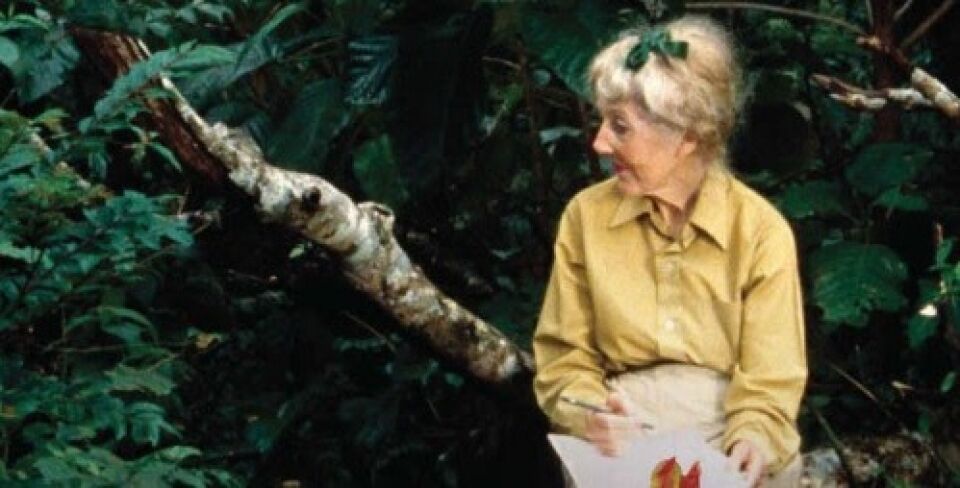 As plantas de Margaret Mee