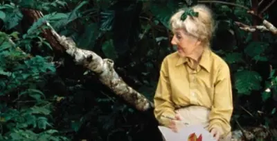 As plantas de Margaret Mee