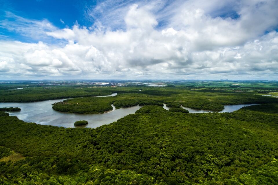 Governo envia para embaixadas da Alemanha e Noruega proposta de alteração do Fundo Amazônia