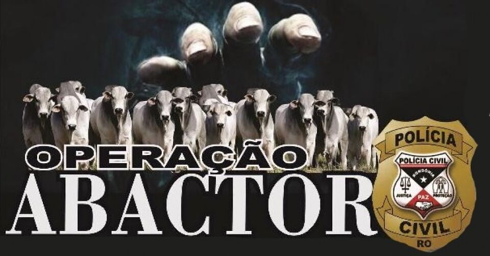 Polícia Civil prende quatro pessoas acusadas de roubo de gado em RO
