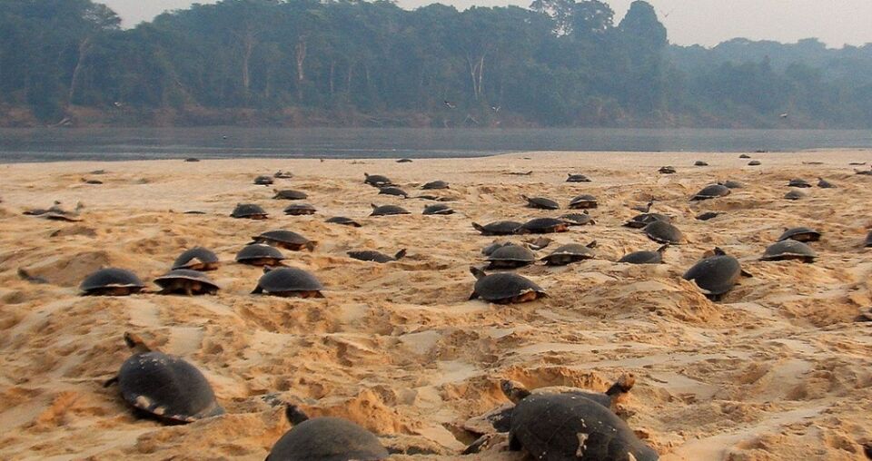 Setur divulga calendário de festas e eventos turísticos de Rondônia