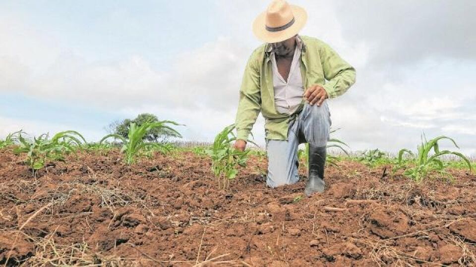 45 mil produtores rurais de RO podem perder benefício na conta de luz