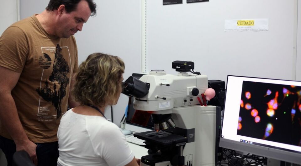 Pesquisadores do Estado encontram proteína extraída do veneno de cobras que pode combater a Leishmaniose e outras doenças